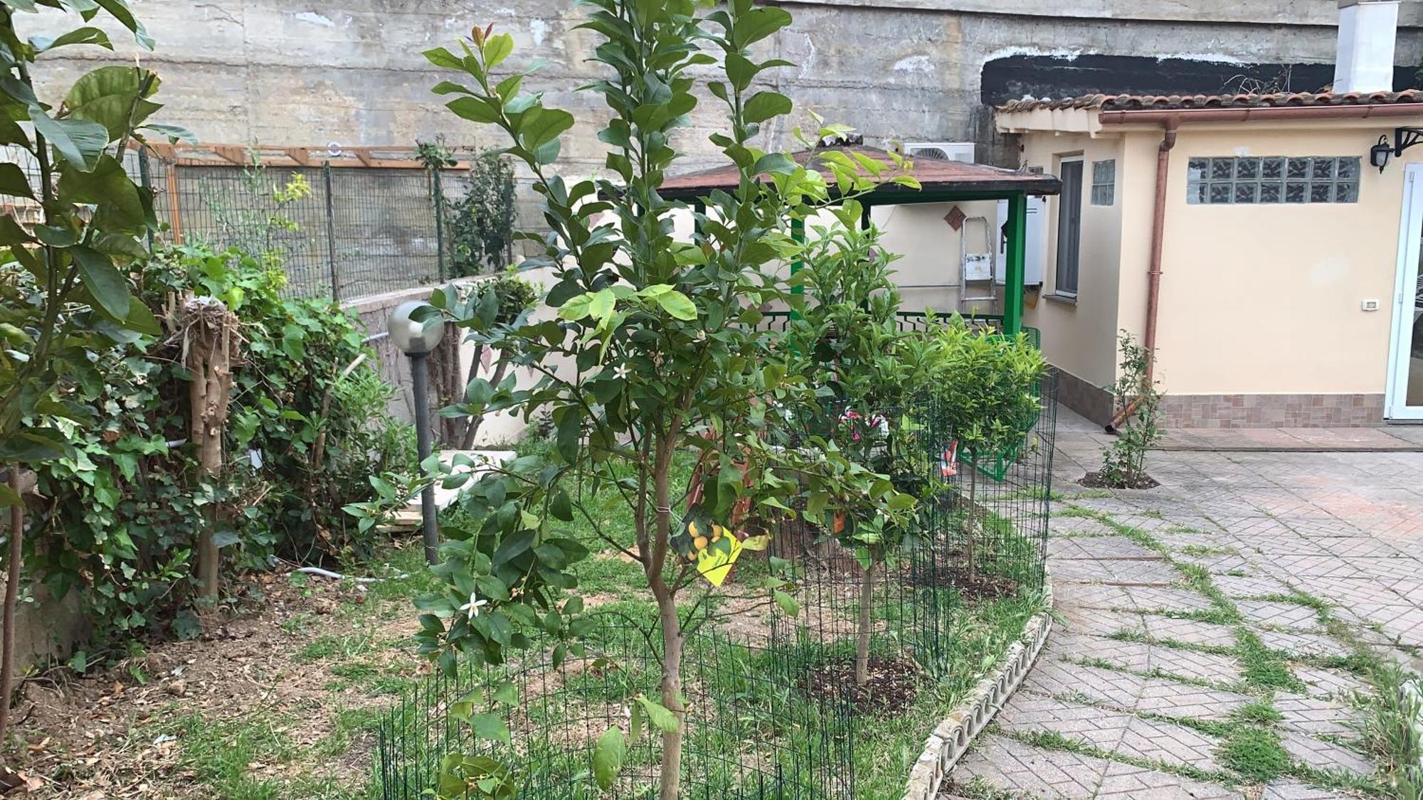 B&B Civitavecchia La Casetta Con Giardino Zewnętrze zdjęcie
